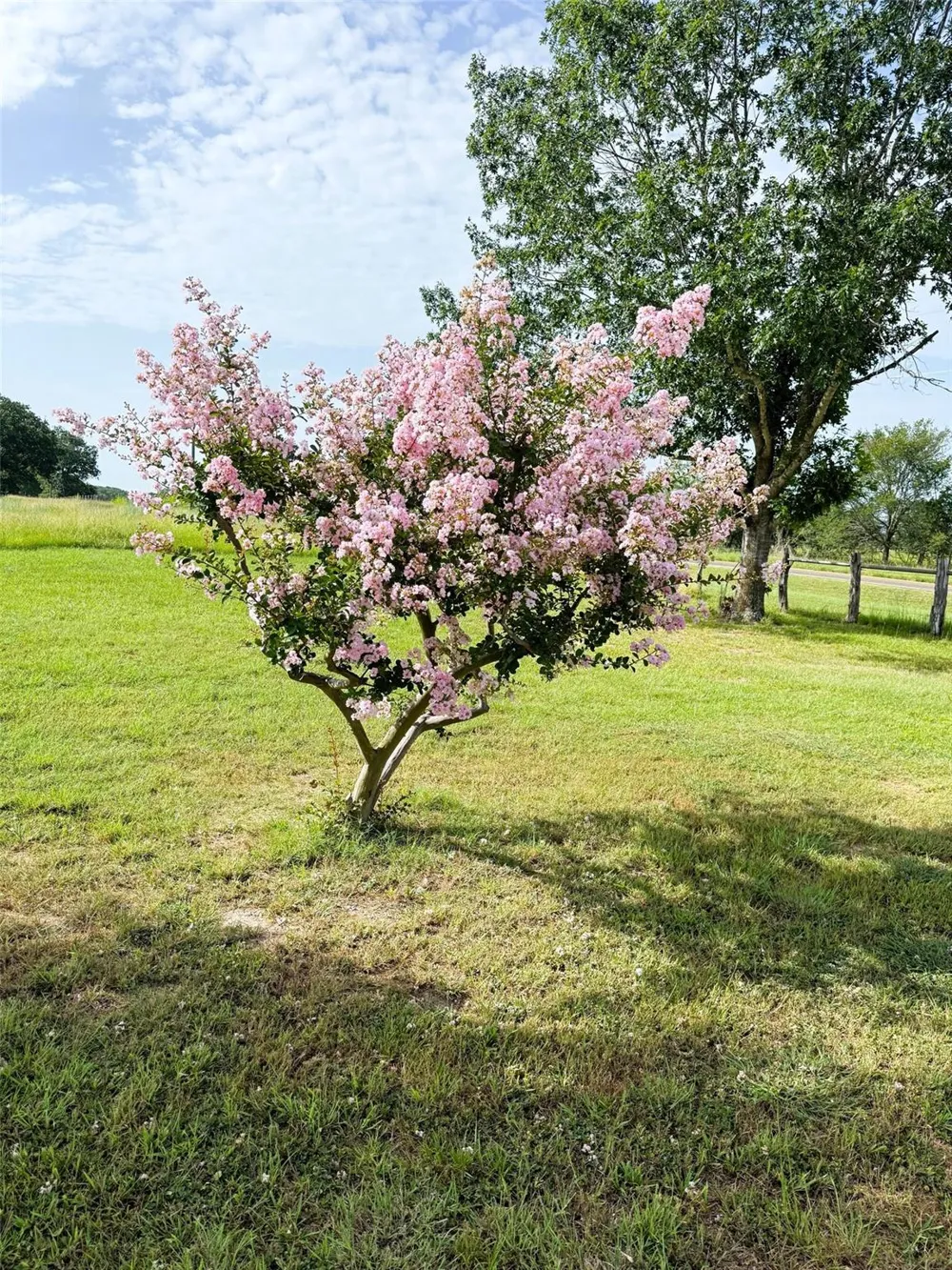 10794 Fm 2159 Calvert, TX 77837