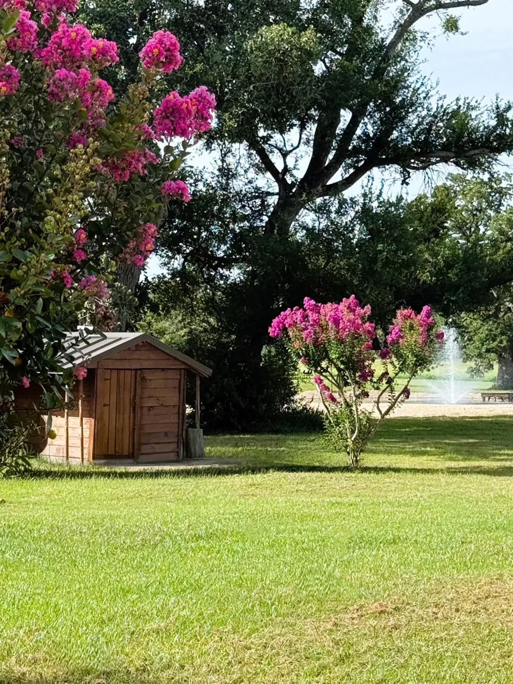 10794 Fm 2159 Calvert, TX 77837