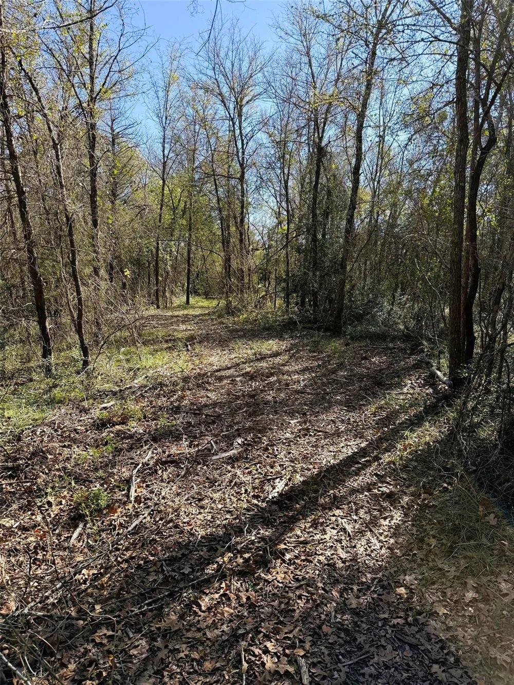10794 Fm 2159 Calvert, TX 77837