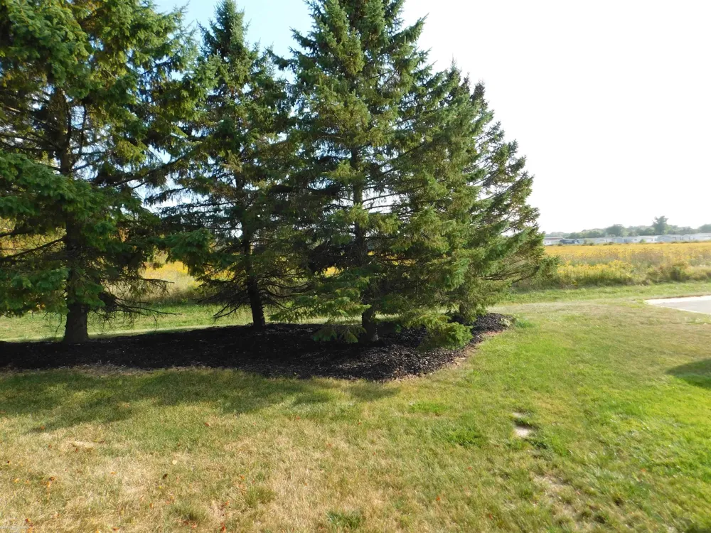 57574 Sawyer Court Lenox Township, MI 48048
