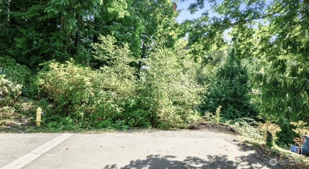 157 xx 72nd Avenue W Edmonds, WA 98026