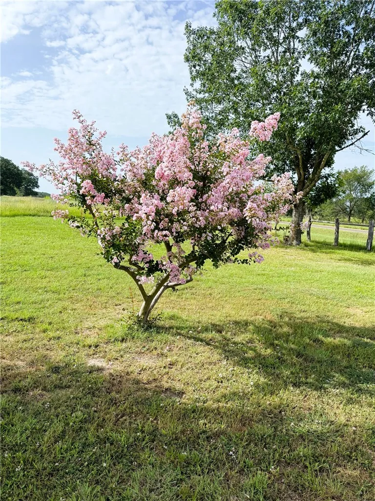10794 FM 2159 Calvert, TX 77837