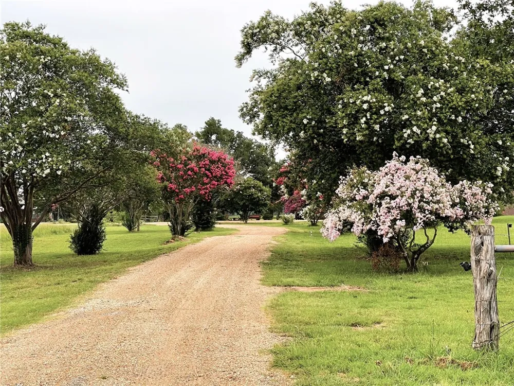 10794 FM 2159 Calvert, TX 77837