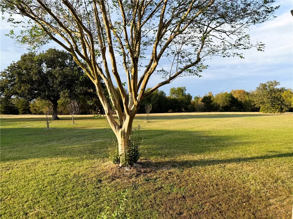 10794 FM 2159 Calvert, TX 77837
