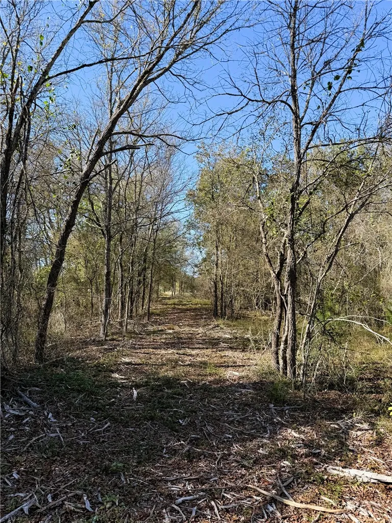 10794 FM 2159 Calvert, TX 77837