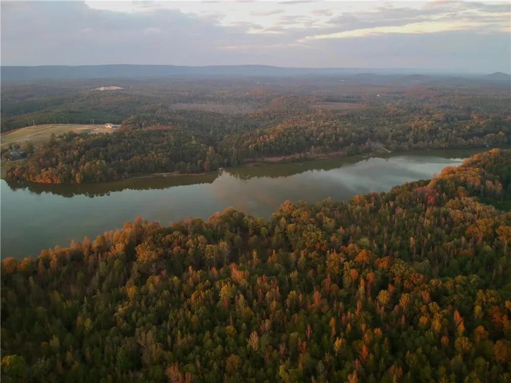 51 County Road 1024 Cedar Bluff, AL 35959