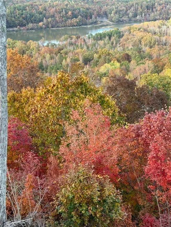 51 County Road 1024 Cedar Bluff, AL 35959