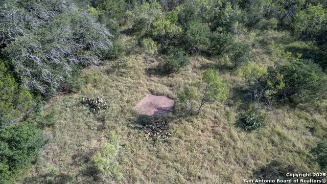 1 Utopia Forest Dhanis, TX 78850