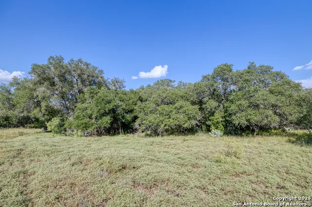 1 Utopia Forest Dhanis, TX 78850