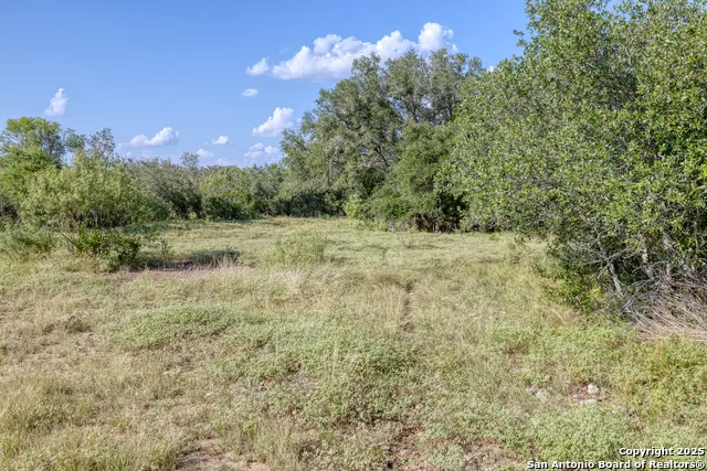 1 Utopia Forest Dhanis, TX 78850