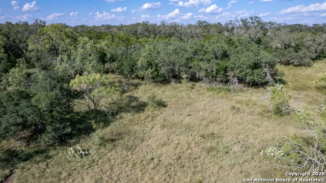 1 Utopia Forest Dhanis, TX 78850