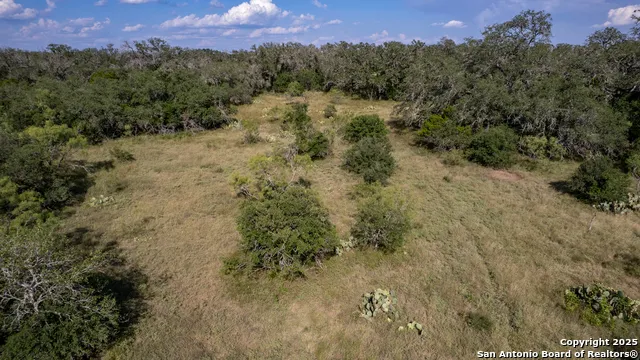 1 Utopia Forest Dhanis, TX 78850