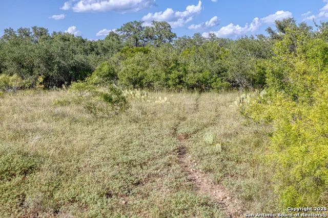 1 Utopia Forest Dhanis, TX 78850