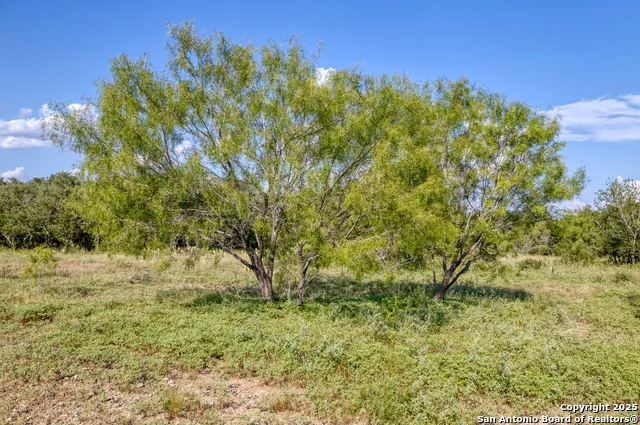 1 Utopia Forest Dhanis, TX 78850