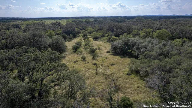 1 Utopia Forest Dhanis, TX 78850