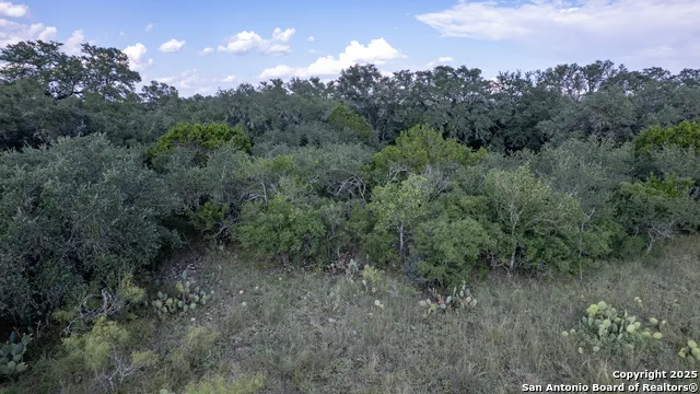 1 Utopia Forest Dhanis, TX 78850