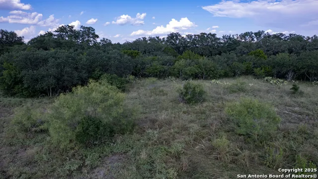 1 Utopia Forest Dhanis, TX 78850