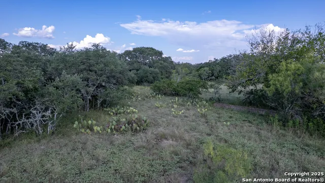 1 Utopia Forest Dhanis, TX 78850