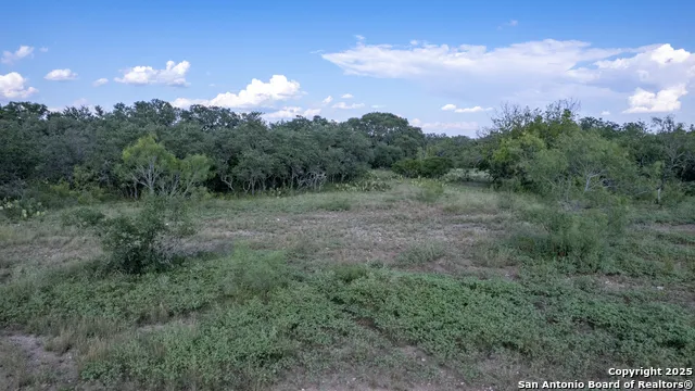 1 Utopia Forest Dhanis, TX 78850