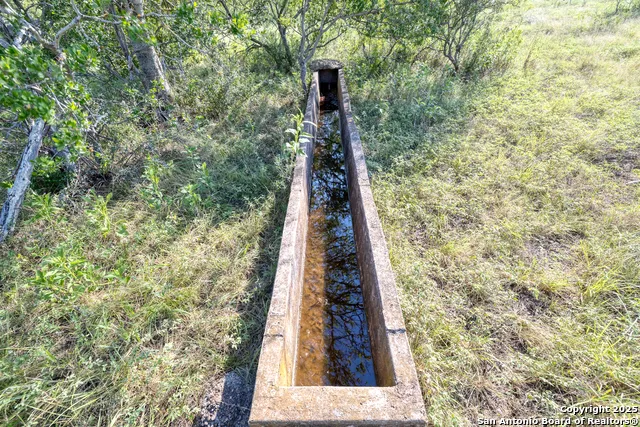 1 Utopia Forest Dhanis, TX 78850