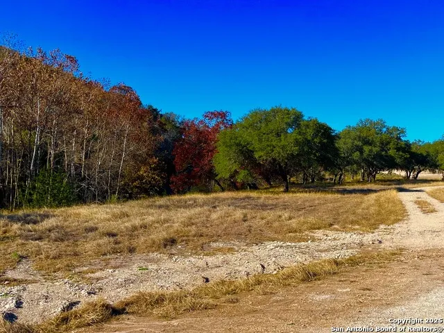 135 Shapen Springs Harper, TX 78631