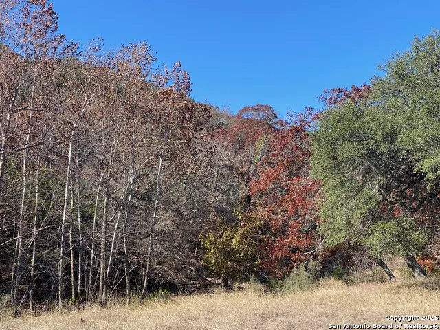 135 Shapen Springs Harper, TX 78631