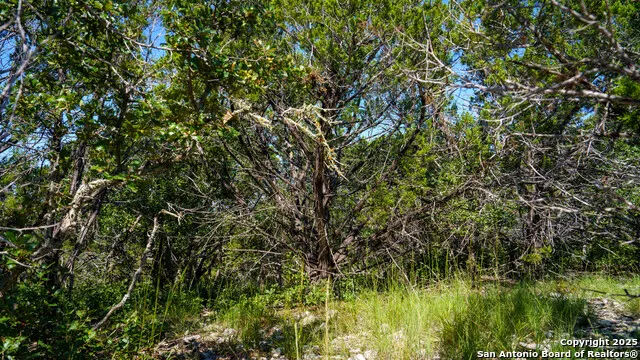 LOT 12 Mystic Ridge Estates Kerrville, TX 78028