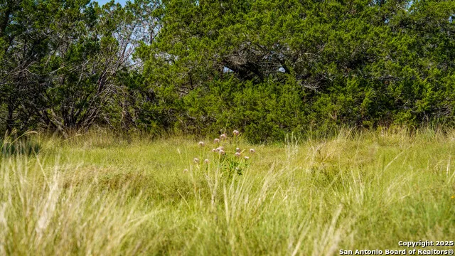LOT 12 Mystic Ridge Estates Kerrville, TX 78028