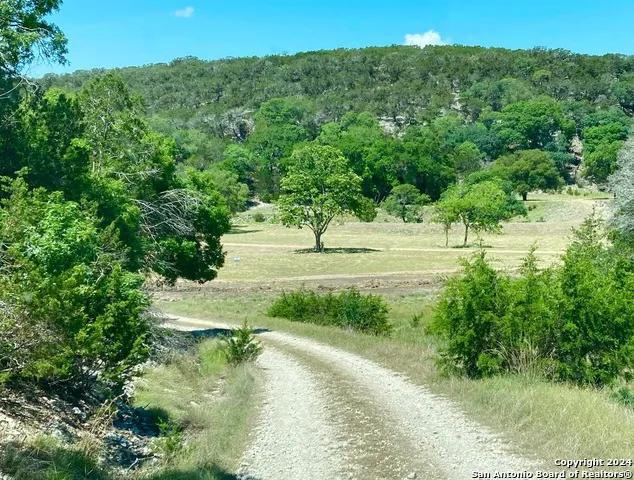 LOT 134 Shapen Springs Rd Harper, TX 78631