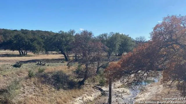 LOT 134 Shapen Springs Rd Harper, TX 78631