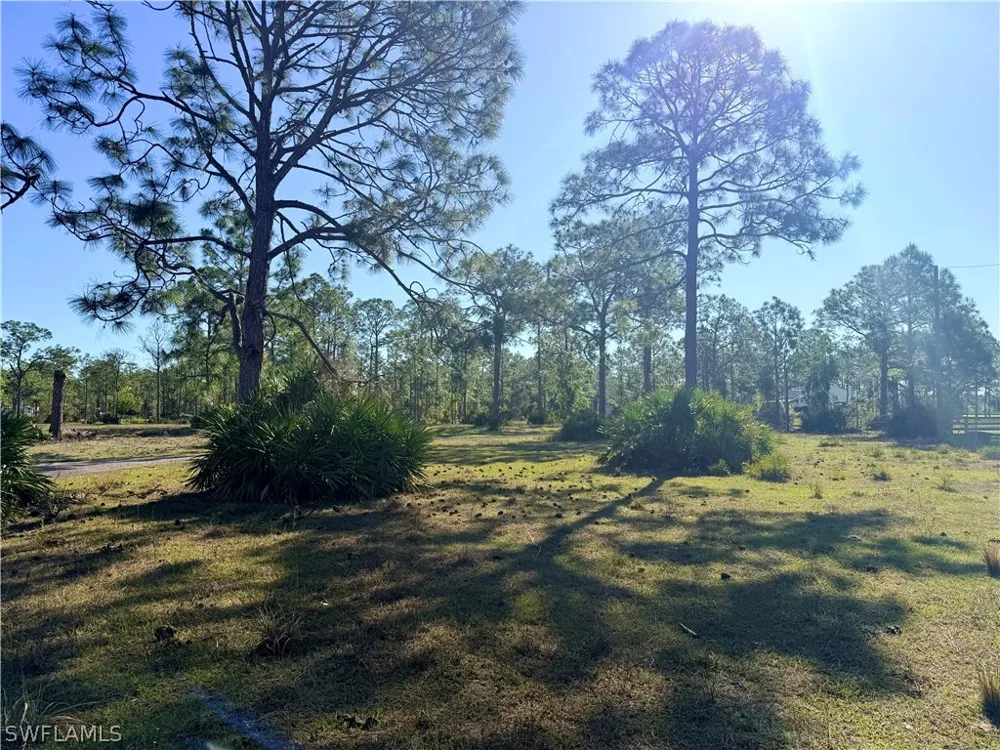 Hidden Woods Trail Estero, FL 33928