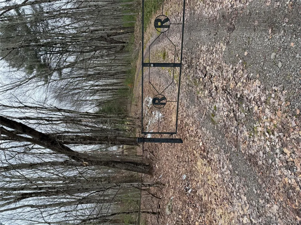 154 Britman Road Mongaup Valley, NY 12762