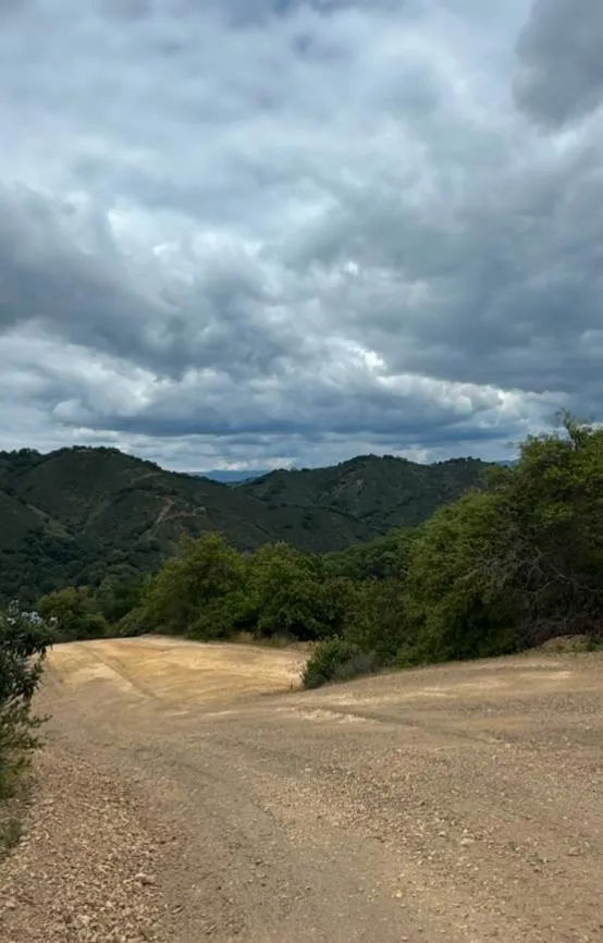 O Uvas Road Morgan Hill, CA 95037