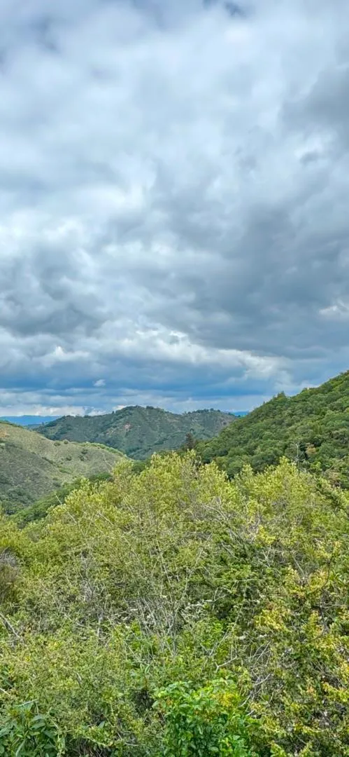 O Uvas Road Morgan Hill, CA 95037