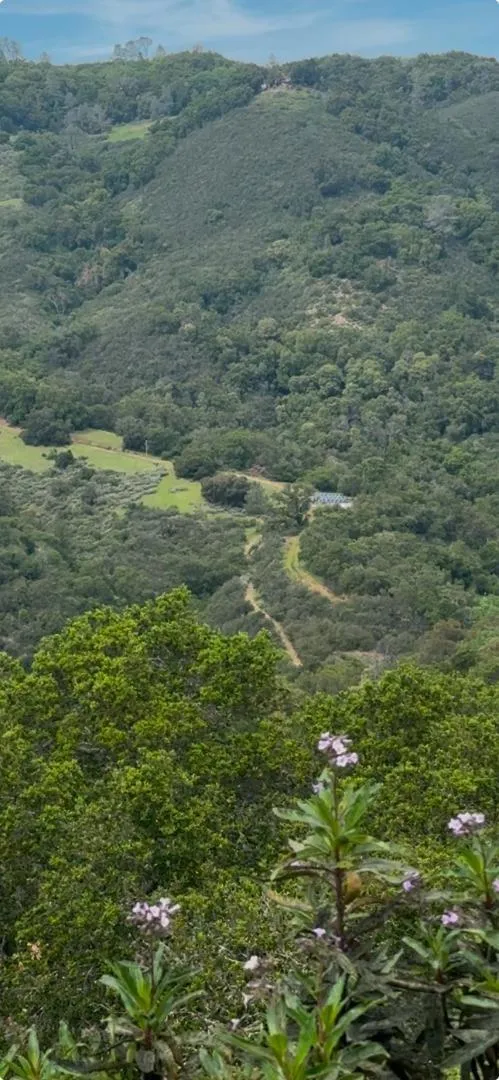 O Uvas Road Morgan Hill, CA 95037