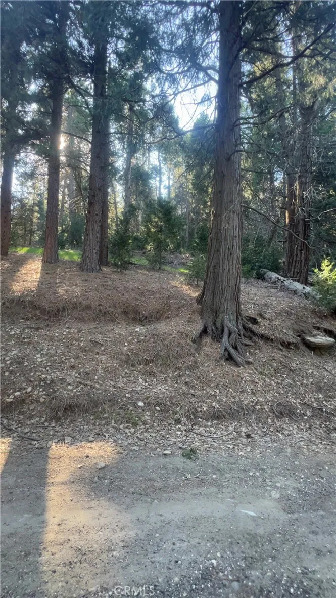 Reservoir Cedarpines Park, CA 92322