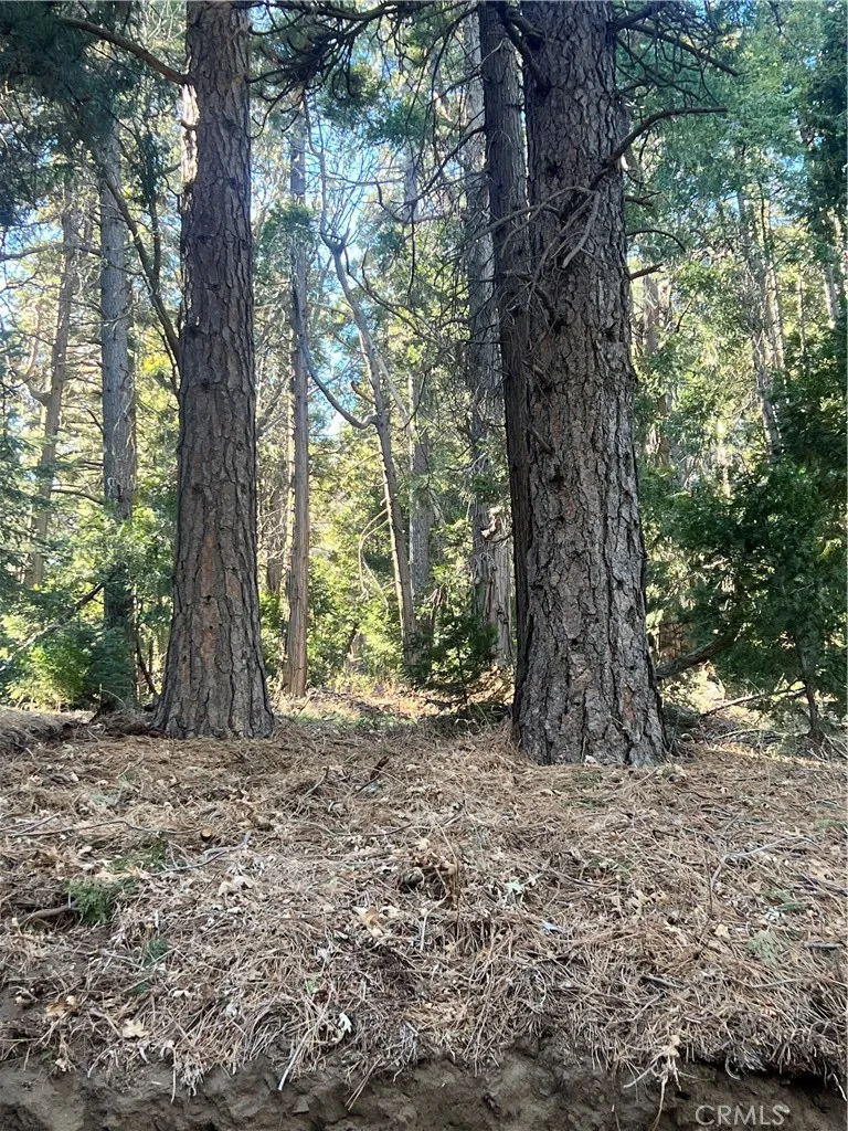 Reservoir Cedarpines Park, CA 92322