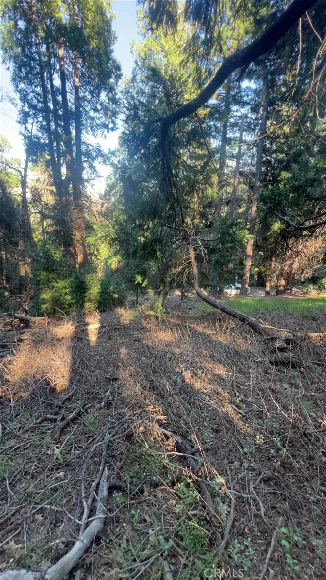 Reservoir Cedarpines Park, CA 92322