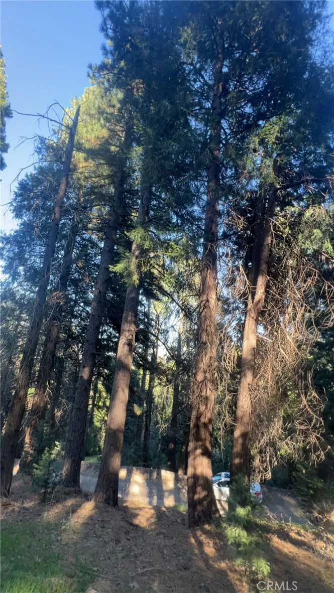 Reservoir Cedarpines Park, CA 92322