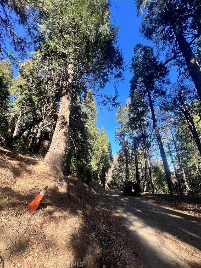 Reservoir Cedarpines Park, CA 92322
