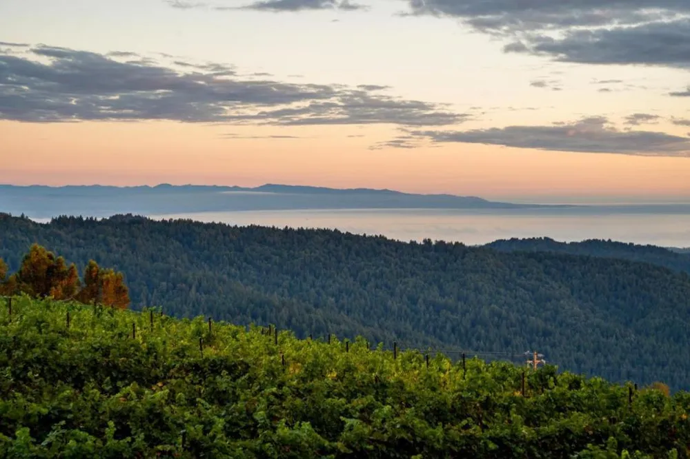 25200 Loma Prieta Avenue Los Gatos, CA 95033