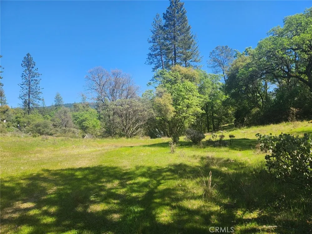13903 Ingersoll Drive Dobbins, CA 95935