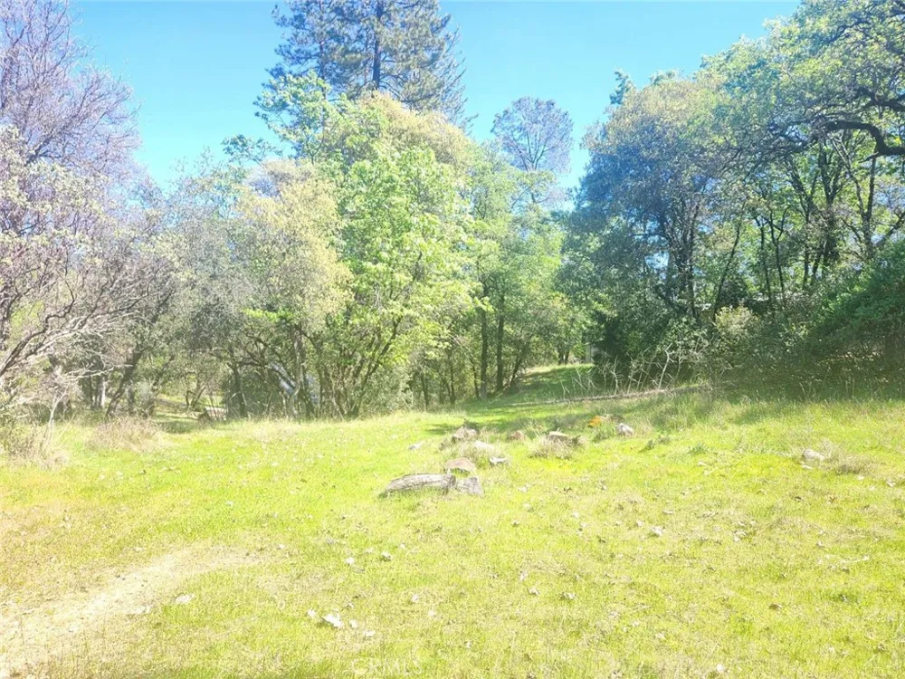 13903 Ingersoll Drive Dobbins, CA 95935