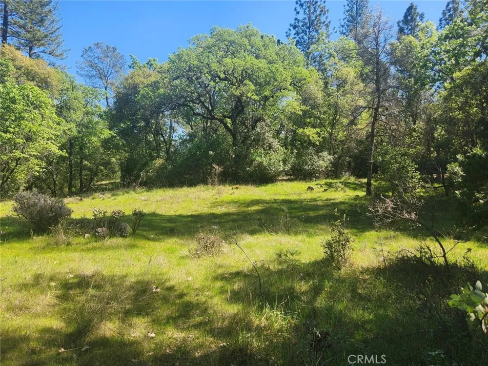 13903 Ingersoll Drive Dobbins, CA 95935