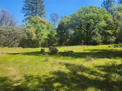 13903 Ingersoll Drive