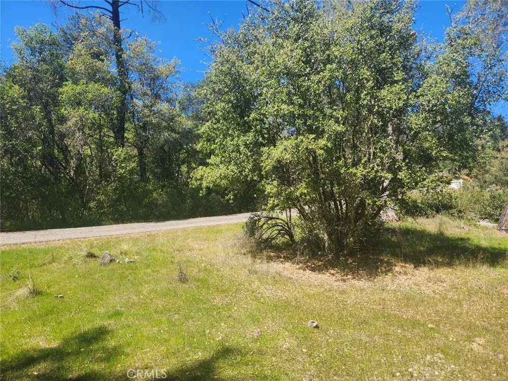 13903 Ingersoll Drive Dobbins, CA 95935