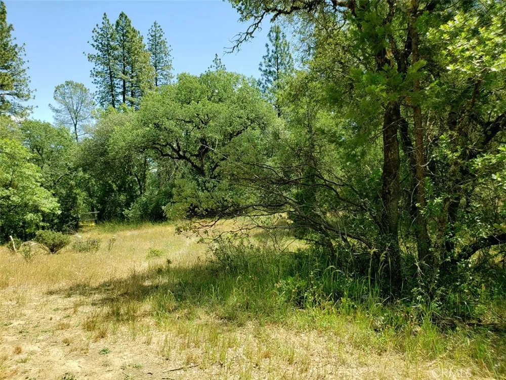 13903 Ingersoll Drive Dobbins, CA 95935