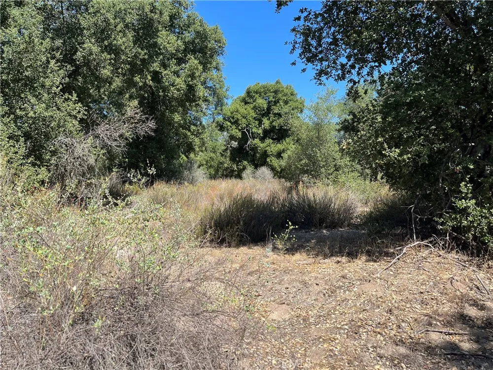 35010 Willow Creek Rd. Hemet, CA 92544