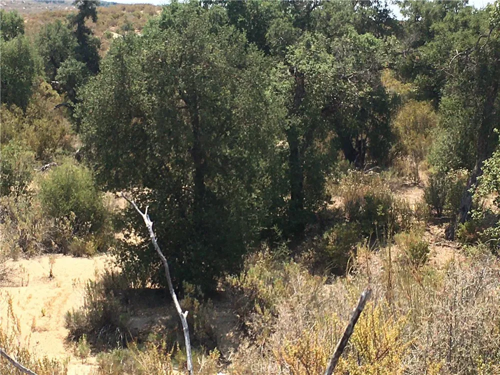 35010 Willow Creek Rd. Hemet, CA 92544