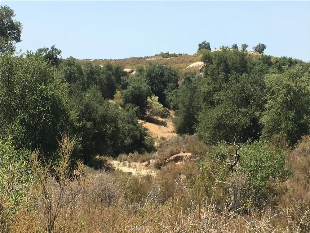35010 Willow Creek Rd. Hemet, CA 92544